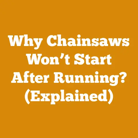 Why Chainsaws Won’t Start After Running? (Explained)